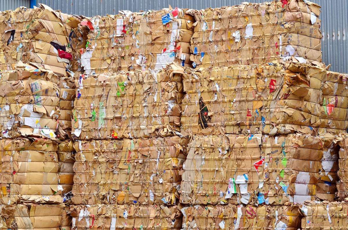 廢紙(zhi)市場綜述(shù)：局部反彈(dàn)與價格波(bō)動